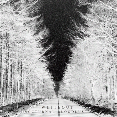 Nocturnal Bloodlust : Whiteout